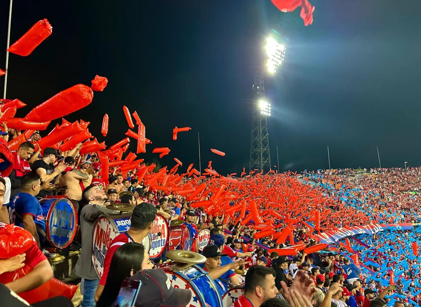 PG电子官方-里昂球迷疯狂挥舞球队旗帜,现场气氛火爆